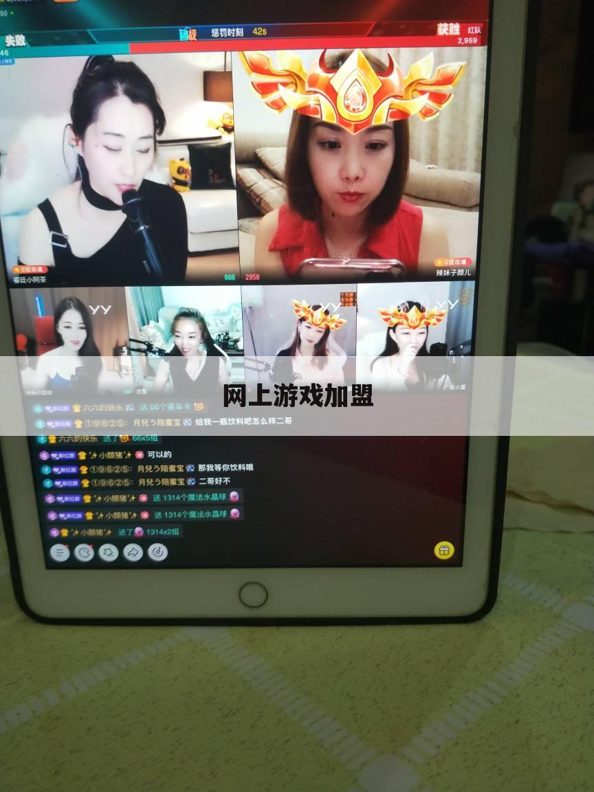 网上游戏加盟