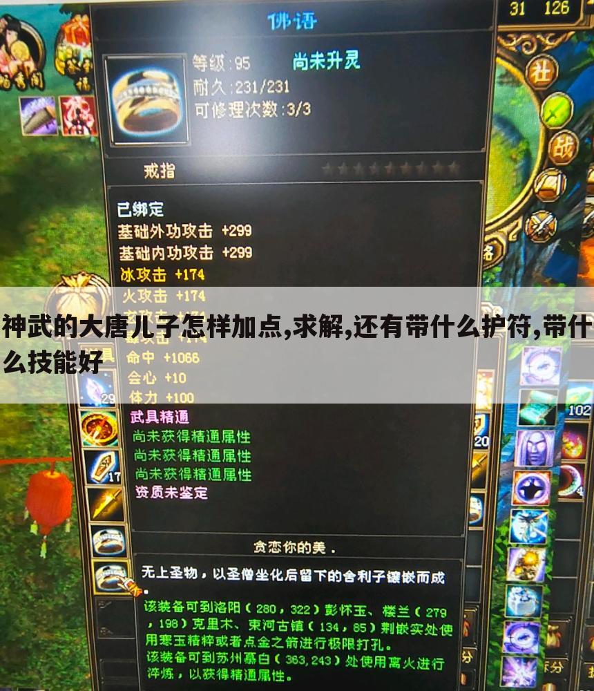 神武的大唐儿子怎样加点,求解,还有带什么护符,带什么技能好