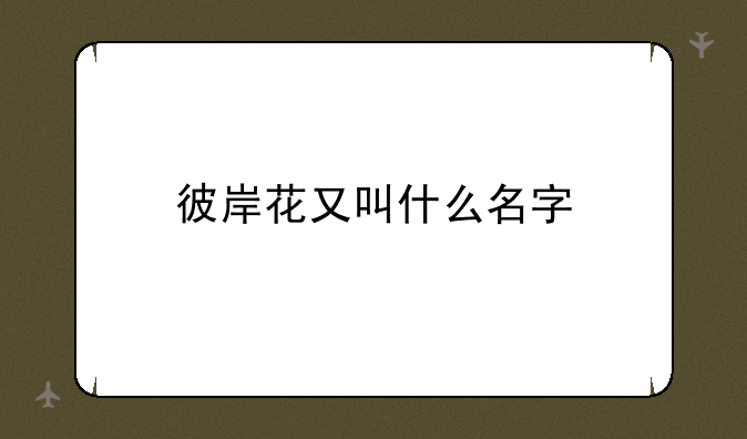 彼岸花又叫什么名字