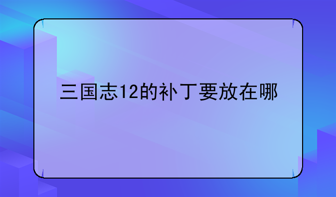 三国志12的补丁要放在哪