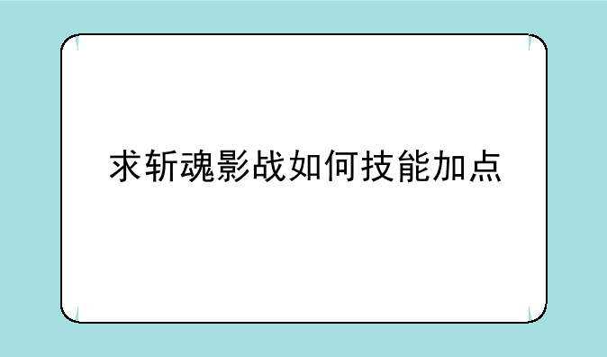 求斩魂影战如何技能加点