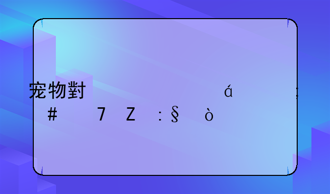 宠物小精灵xy怎么重新玩？